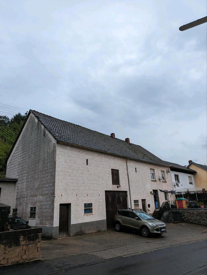 Thumbnail-Einfamilienhaus mit Scheune und großen Grundstück