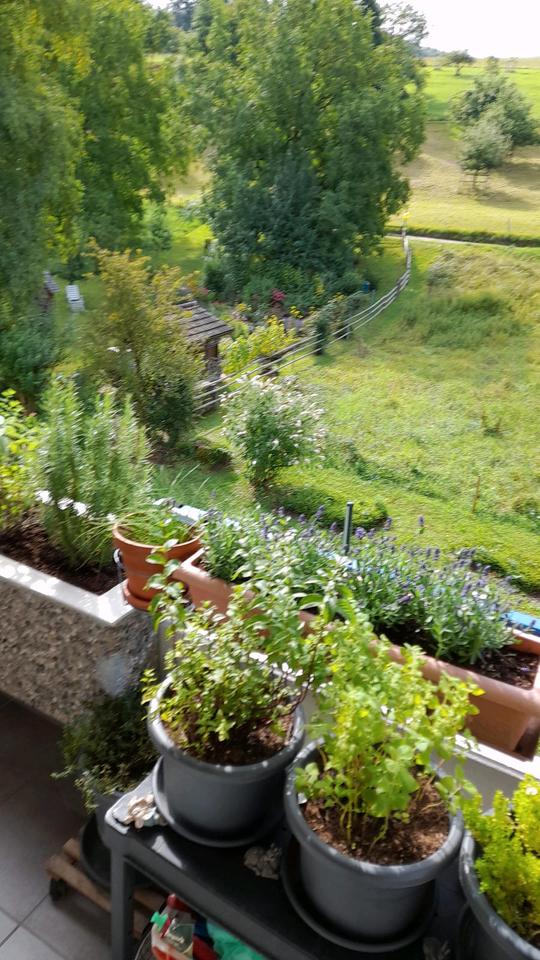 Thumbnail-3-Zimmer Wohnung in Inzlingen von Privat