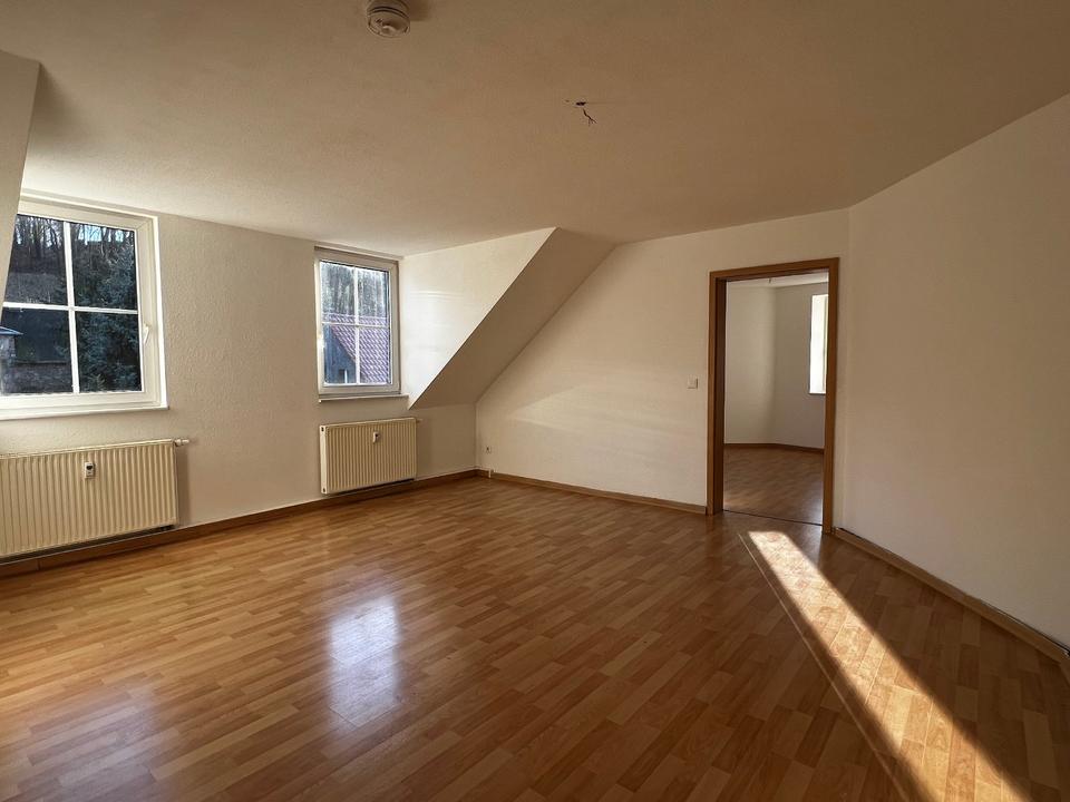 Thumbnail-Helle, renovierte 3-Raum-Dachgeschosswohnung in Döbeln – sofort bezugsfrei!