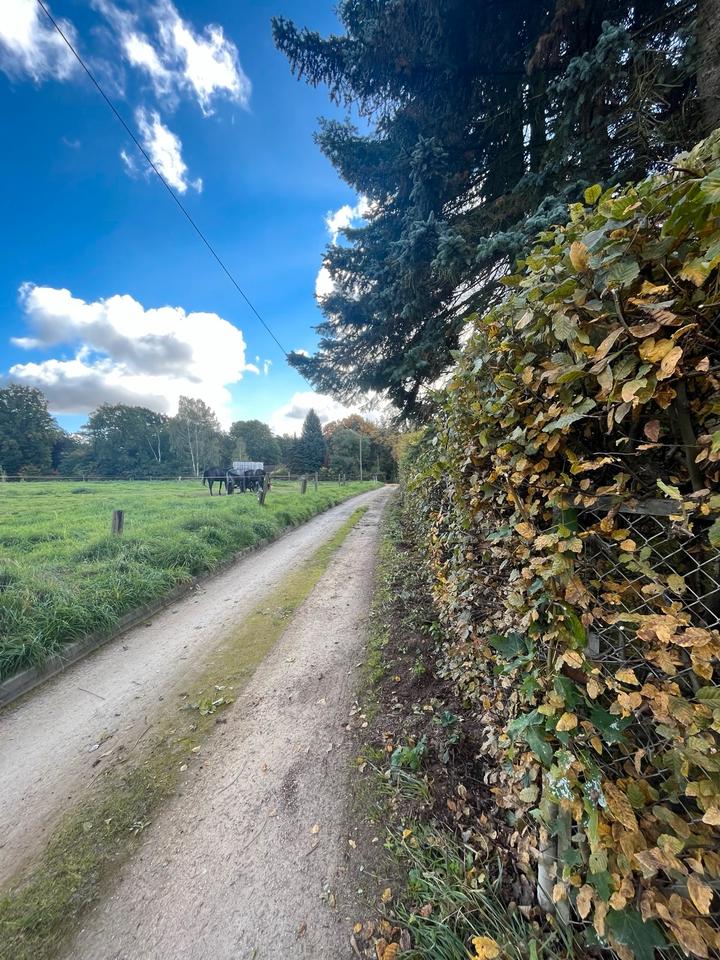 Thumbnail-Wochenendgrundstück mit Bungalow und Garage in Rochwitz