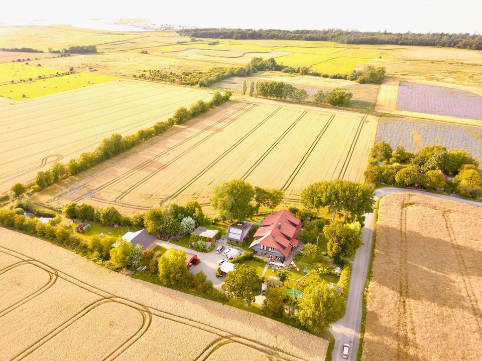 Thumbnail-Ferienwohnung mit Hund, Fehmarn, Ostsee, Strandnah, Alleinlage