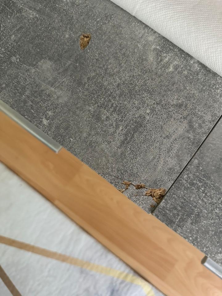 Thumbnail-Wohnzimmer,schränke