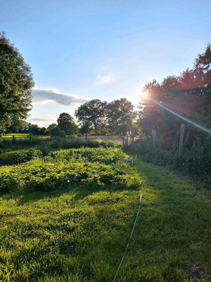 Thumbnail-Ferienwohnung - Plau am See, Naturliebhaber