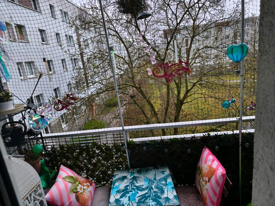 Thumbnail-4 Zimmer Wohnung Strausberg mit Balkon JuniJuli NACHMIETER