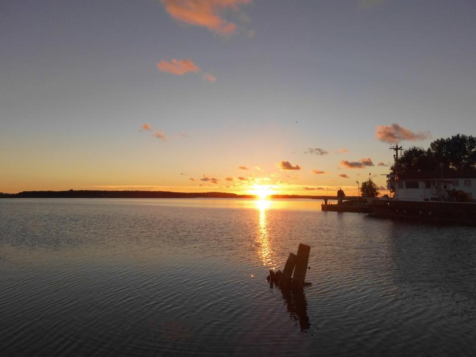 Thumbnail-Urlaub mit Hund auf UsedomOstsee Termine vom 13.06 - 04.07!