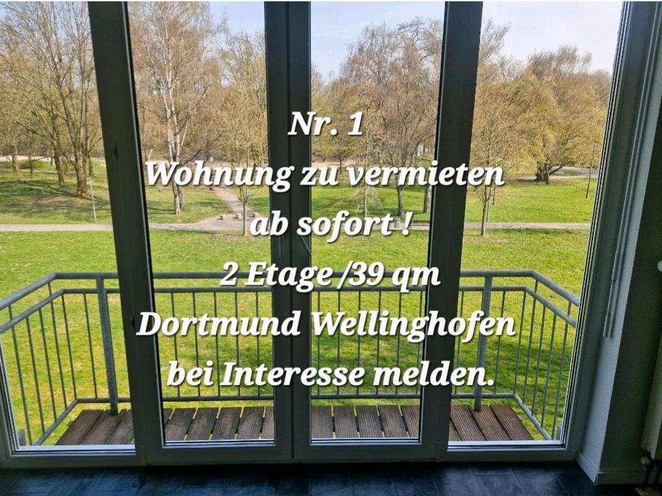 Thumbnail-Wohnung in Wellinghofen - 39 qm2 zu Vermieten. Ab sofort !