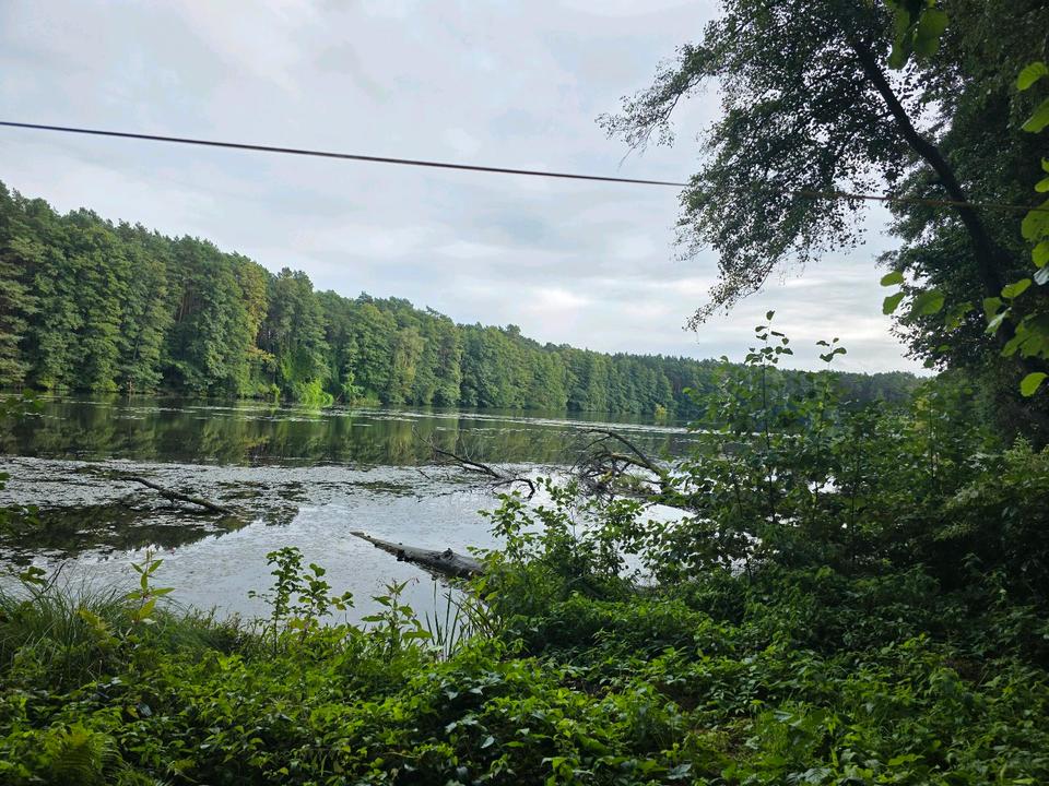 Thumbnail-Wohnwagen mit Anbau und Terrasse