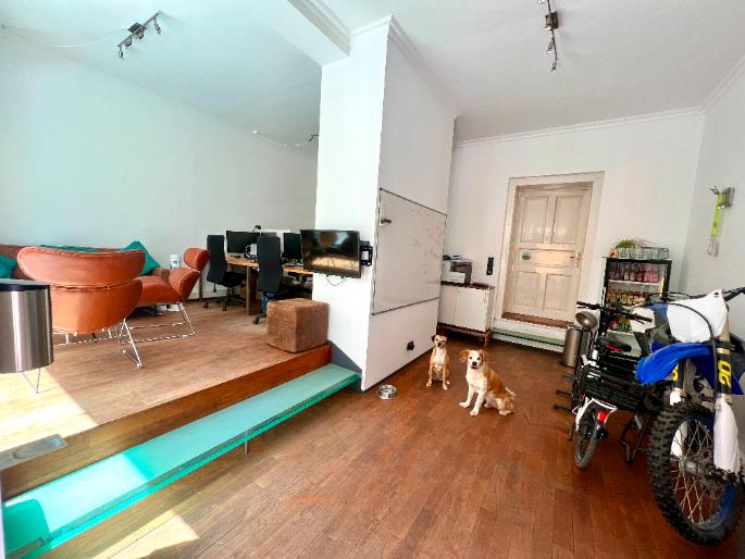 Thumbnail-Co-Working im Lehel: Offene Arbeitsplätze im Altbau – Hund erlaubt!