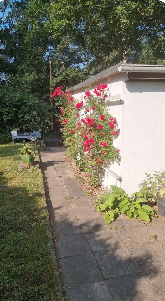 Thumbnail-Bungalow in Pretzien (Eigentum) ab sofort