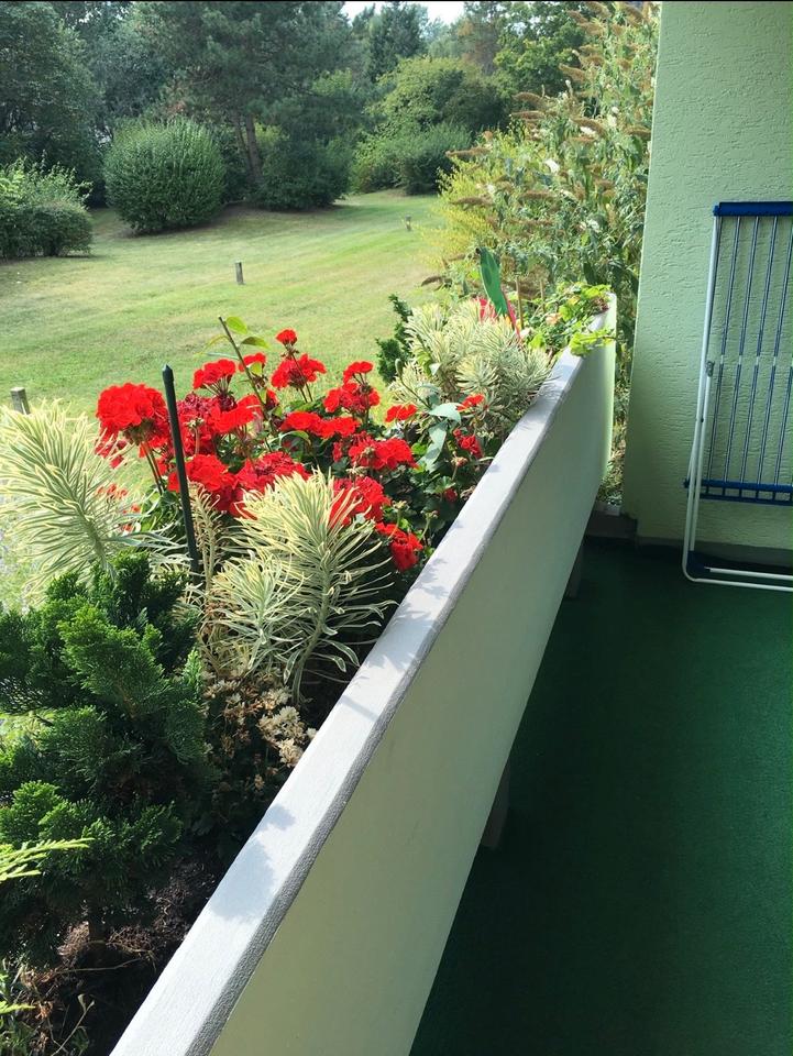 Thumbnail-Erdgeschosswohnung (93m2) mit Loggia & Tiefgarage - von PRIVAT