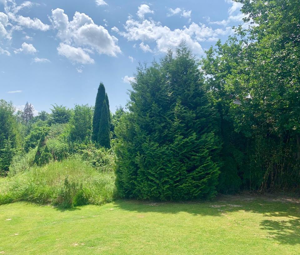 Thumbnail-Gemütliches Studio in Hergatz