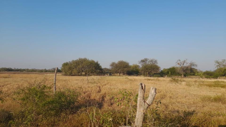 Thumbnail-Investitionschance im Herzen Südamerikas- Paraguay