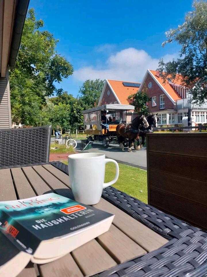 Thumbnail-Urlaub auf Langeoog, Sommerferien, wegen Stornierung wieder frei