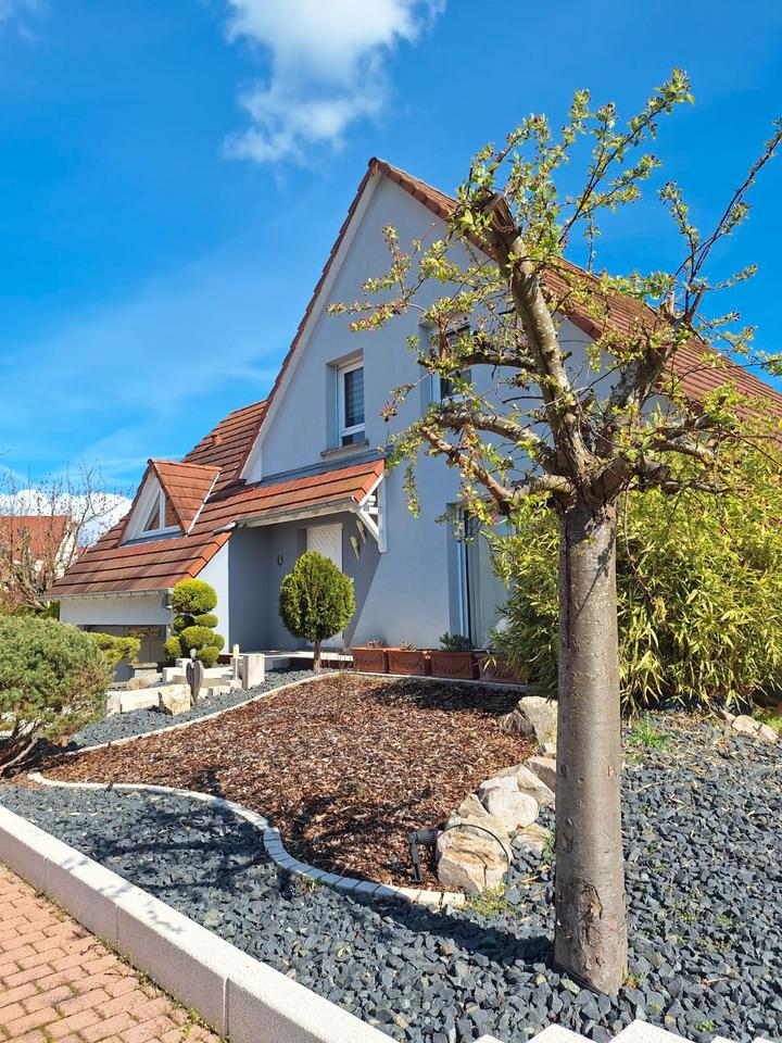Thumbnail-Modernes, lichtdurchflutetes Haus in idyllischer Sackgasse Elsass