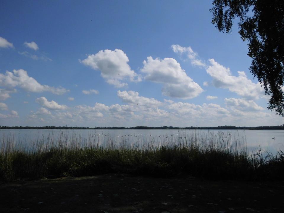 Thumbnail-Zu sofort - Wohnen am Wittensee im voll eingerichteten Zuhause