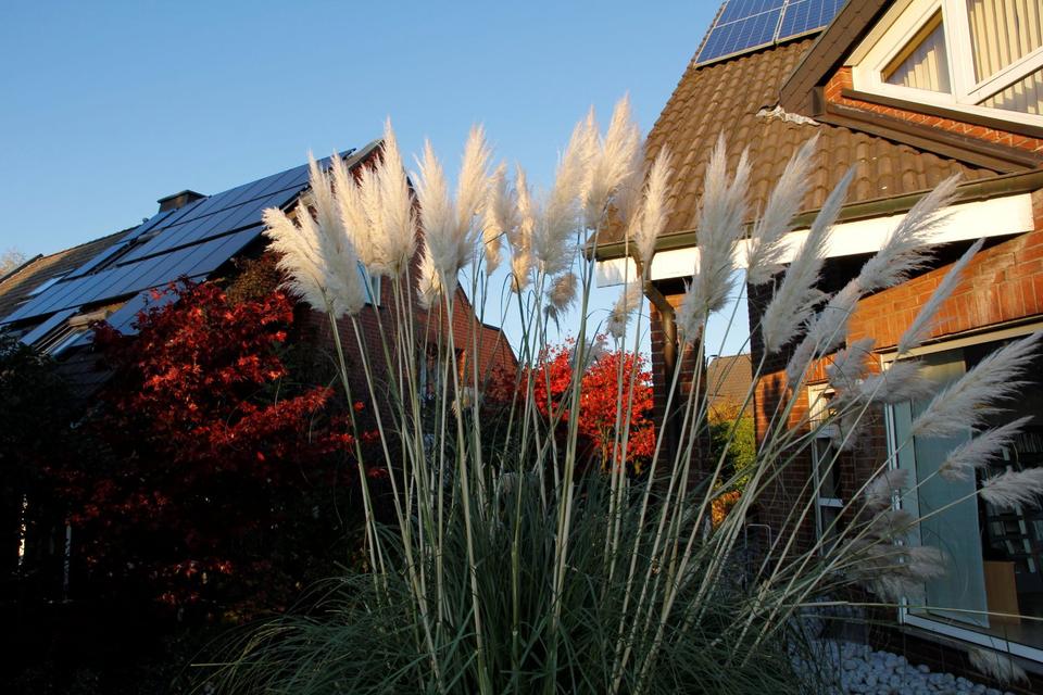 Thumbnail-Doppelhaushälfte, Dortmund, Zeitmiete März-Juli 2026, Uni-Nähe