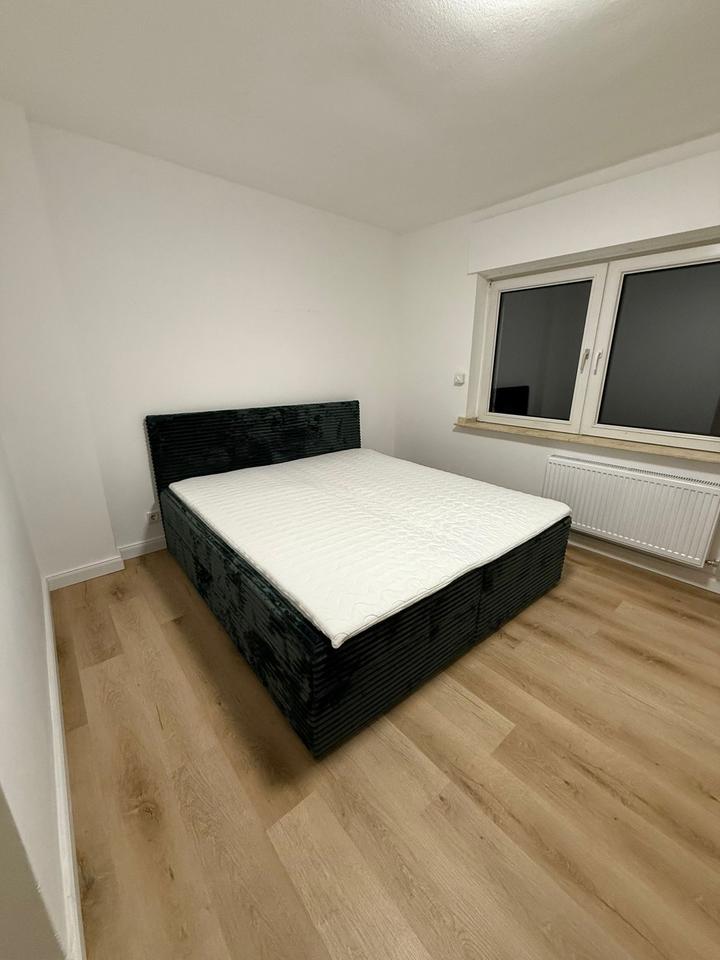 Thumbnail-WG - Zimmer mit Rheinblick - LGBTQ freundlich