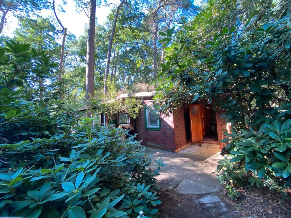 Thumbnail-Idyllisches Waldhaus nahe Steinhuder Meer