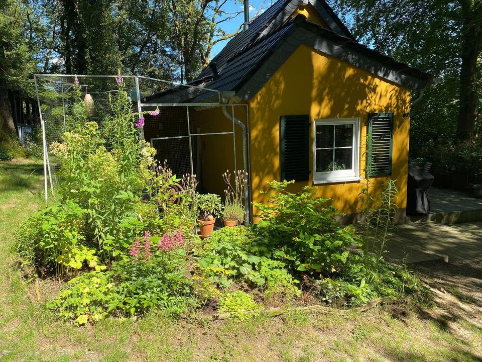 Thumbnail-Natur trifft Komfort – Hochwertiges Haus in ruhiger Lage