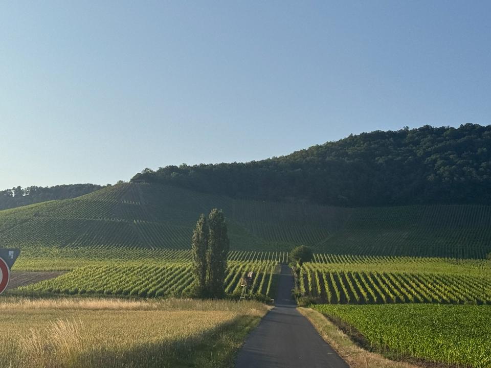 Thumbnail-Große Ferienwohnung im fränkischen Kitzingen für 1 - 6 Personen
