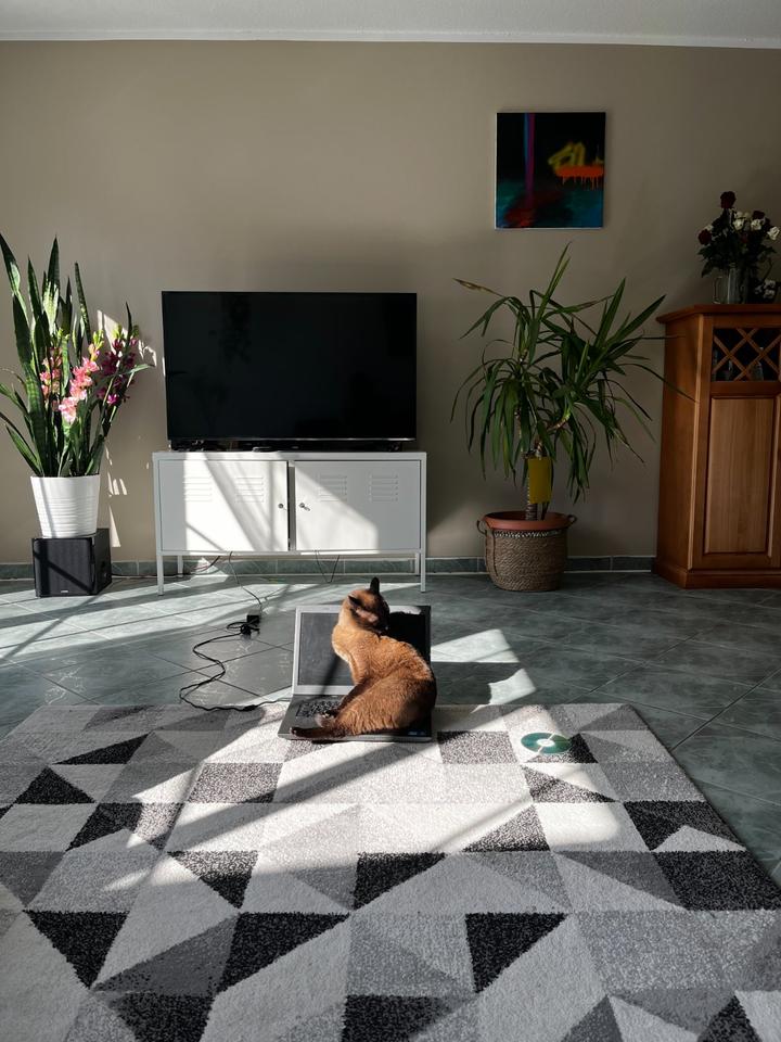 Thumbnail-Haus zu vermieten, 4Z, 125qm, 1800qm Garten