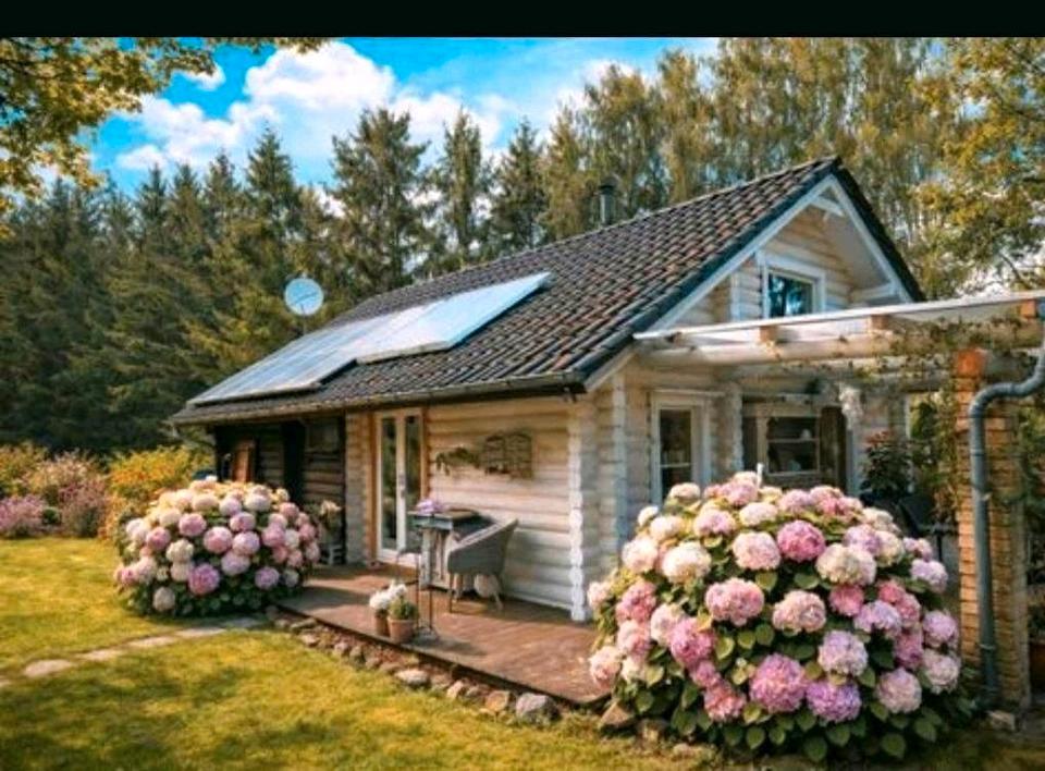 Thumbnail-Blockhaus Haus autark Waldgrundstück