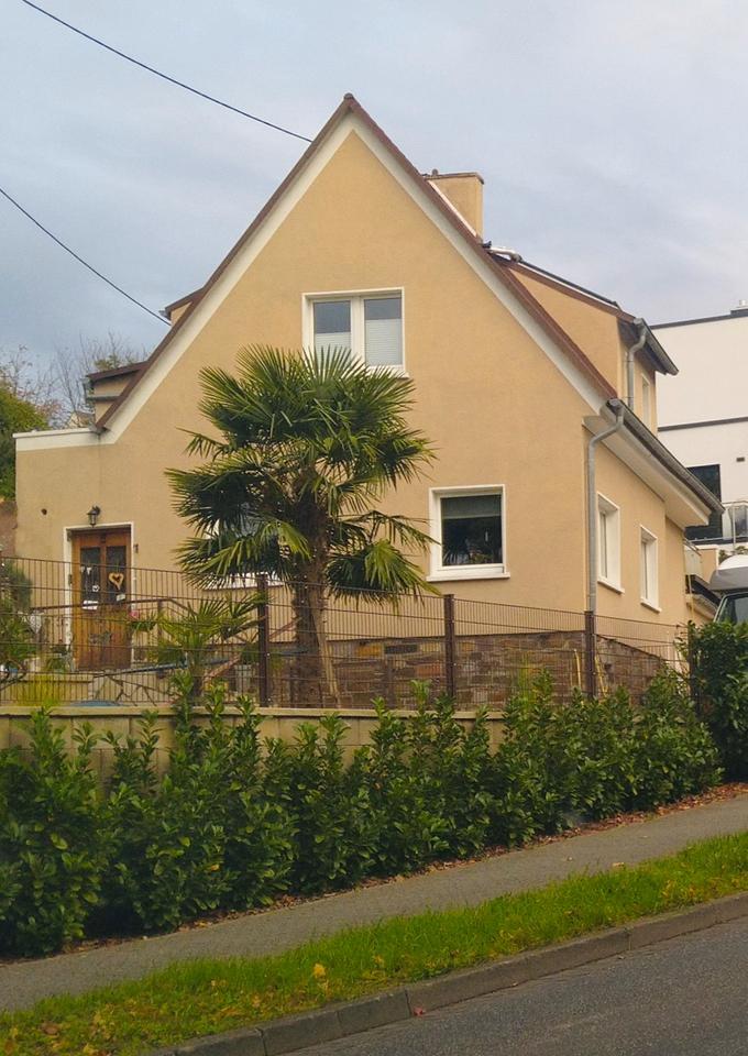 Thumbnail-Einfamilienhaus in Koblenz