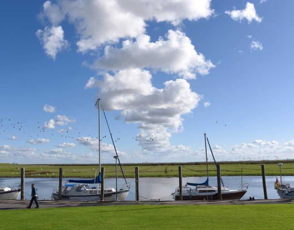 Thumbnail-Urlaub an der Nordsee in Dithmarschen - Ferienwohnung in Neufeld