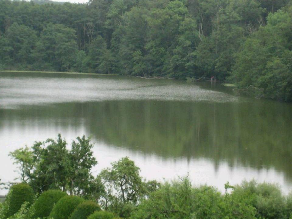 Thumbnail-Möblierte 2- Zimmer- Wohnung in Scharbeutz mit Wennseeblick