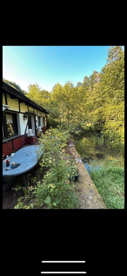 Thumbnail-Bungalow Flachdach