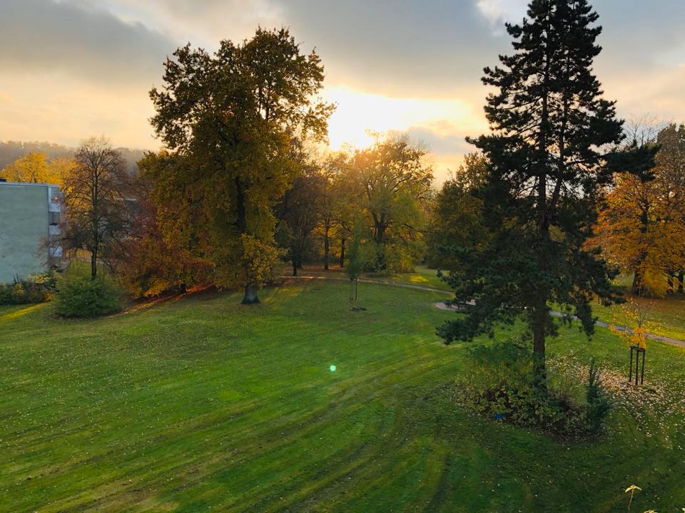 Thumbnail-Ab Januar 3,5 Zimmer Wohnung mit Balkon + Küche,schön im grünen