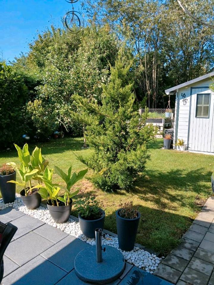 Thumbnail-Moderne 2-Zimmer Wohnung mit Garten, Garage & Stellplatz