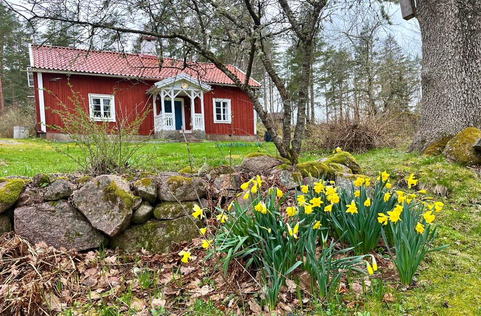 Thumbnail-Ferienhaus Schweden Urlaub in der Natur bei Vimmerby in Småland