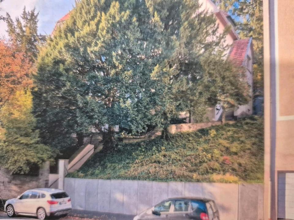 Thumbnail-Doppelhaushälfte mit 2 Wohneinheiten