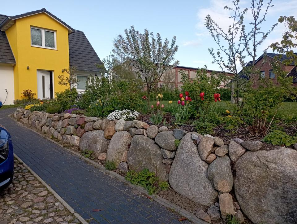 Thumbnail-Sommerferien Ostsee ❤️ Ferienhaus bis 6 Personen