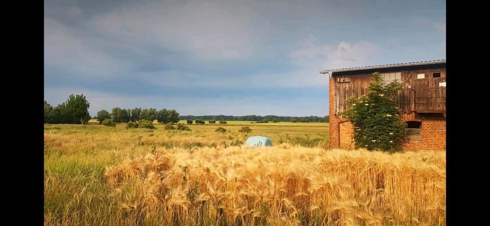 Thumbnail-Hell und freundliche 5-Raum Wohnung in Frauendorf