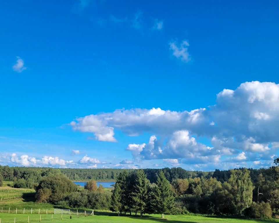 Thumbnail-4-Zi-Wohnung mit Seeblick