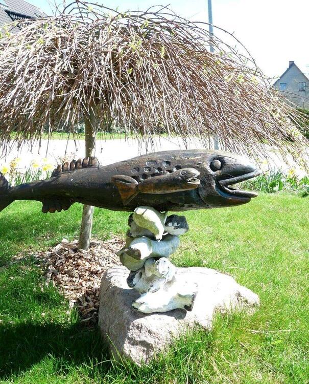 Thumbnail-Insel Rügen 2026 - Urlaub mit Hund