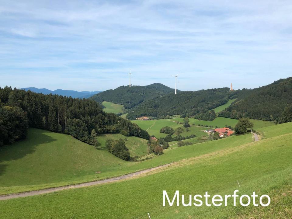 Thumbnail-Gepflegtes Haus Einfamilienhaus auf 664 m² Grundstück