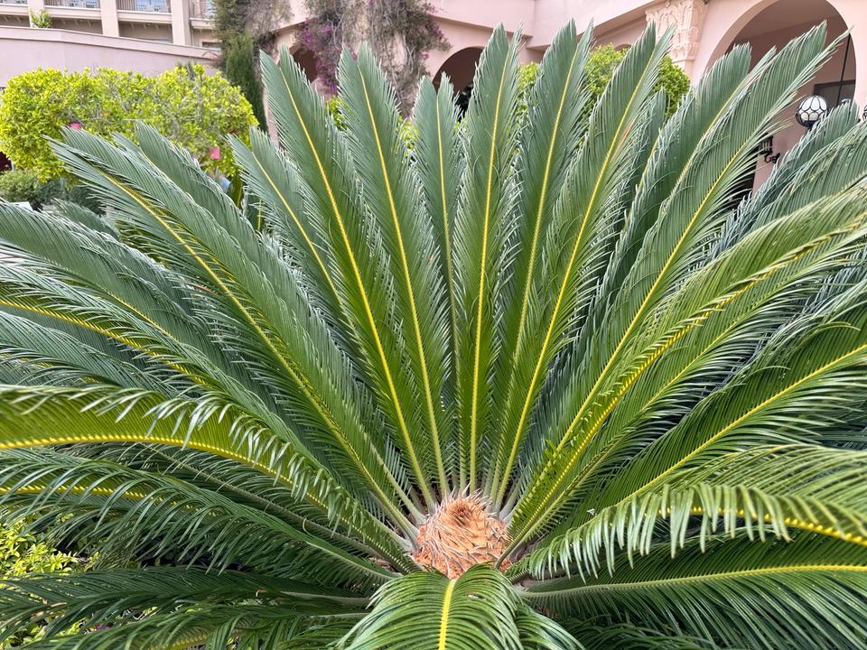 Thumbnail-1 Zimmer Wohnung mit Küche in Neuburg