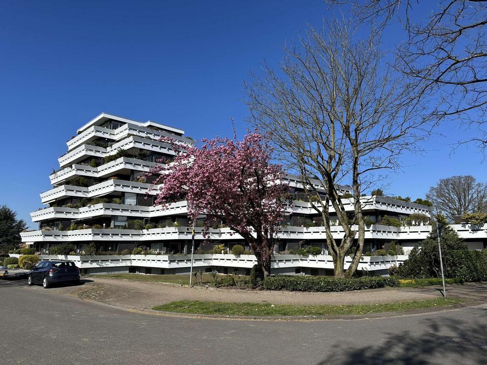 Thumbnail-Top Lage ! Traumhafte modernisierte Wohnung mit großer Terrasse zu vermieten !