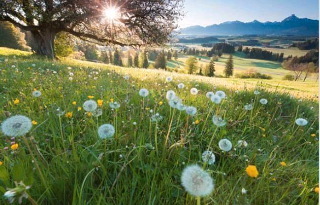 Thumbnail-UNSER ZUHAUSE GESUCH