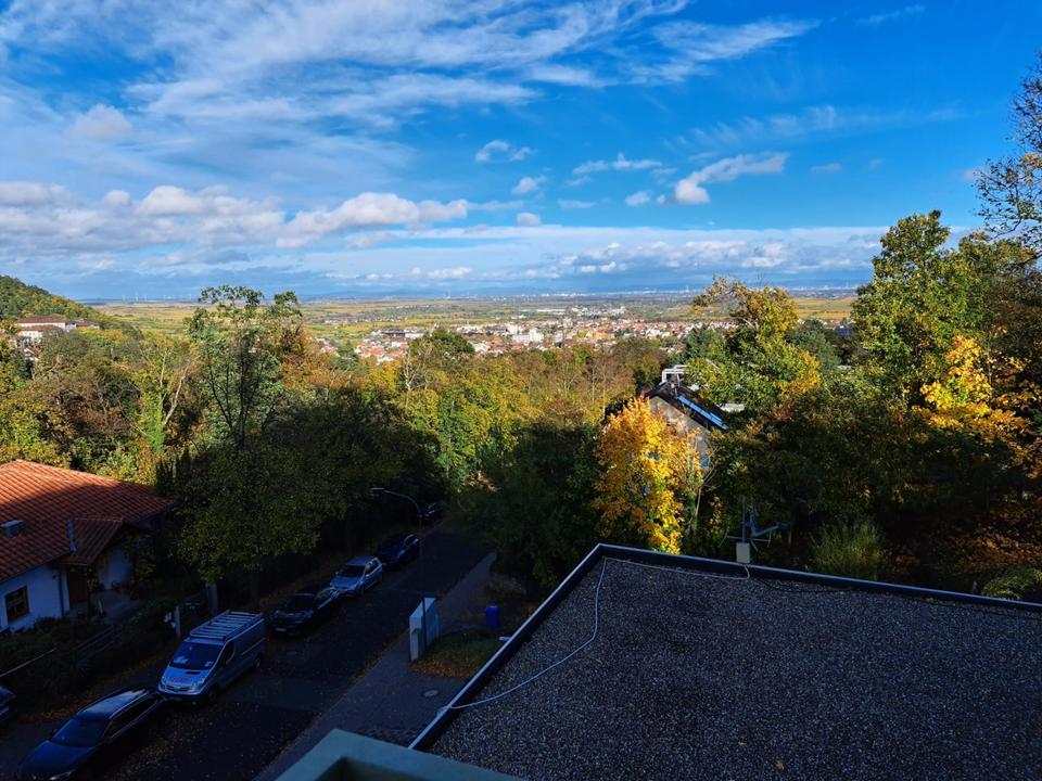 Thumbnail-2 ZKB mit tollem Ausblick, Tiefgaragenplatz, Keller | DÜW Seebach