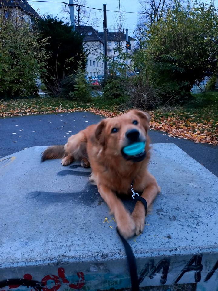 Thumbnail-Wohnung 2 Raum