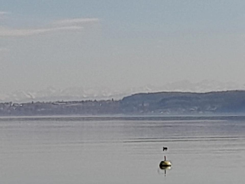 Thumbnail-Moderne helle 2-Zimmer-Wohnung in Überlingen zu verkaufen