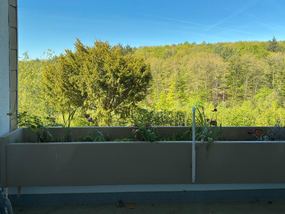 Thumbnail-Großzügige, helle 4 ZKB-Wohnung in Siegen-Geisweid, mit Balkon