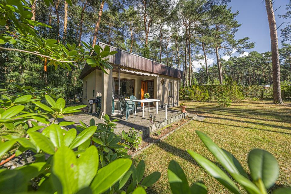 Thumbnail-Gemütlicher Bungalow auf Pachtgrundstück in Waldsiedlung Glaucha