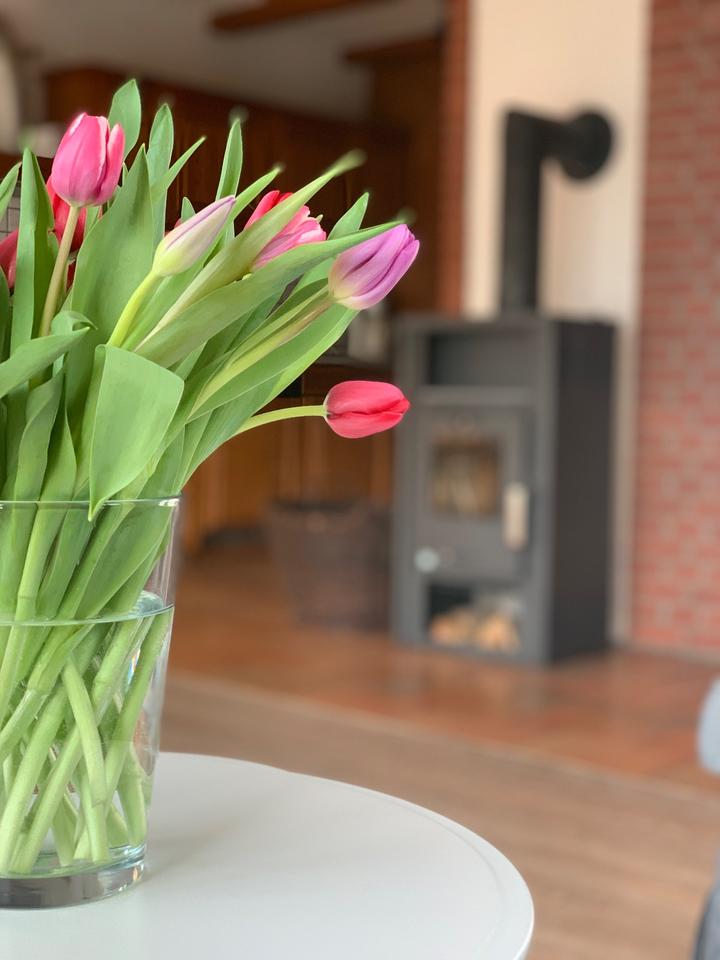 Thumbnail-Ferienwohnung Nordsee Sankt Peter-Ording