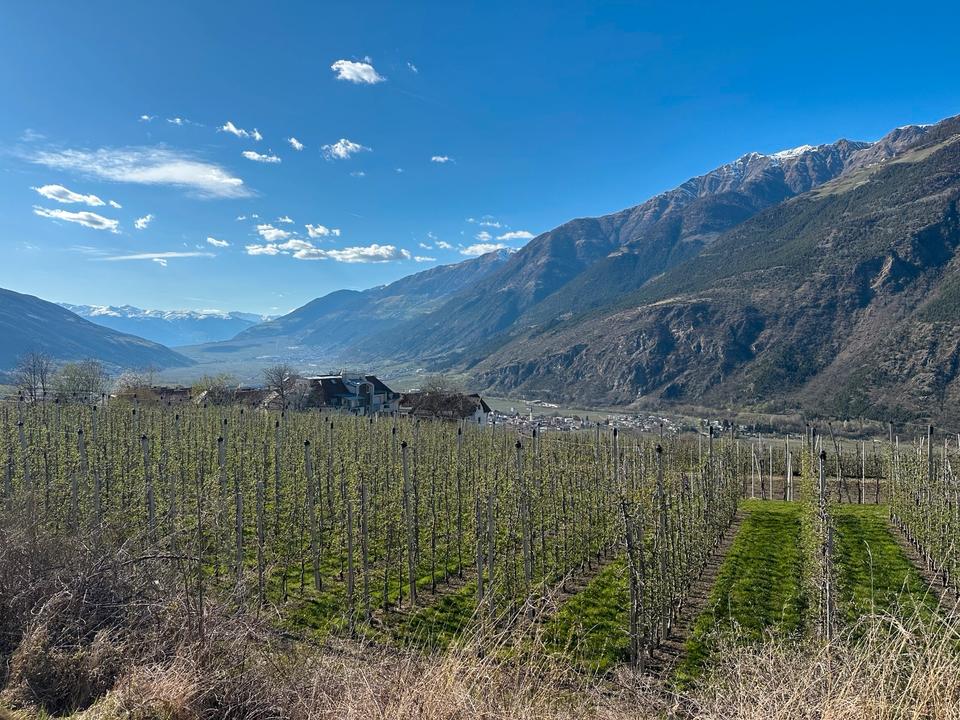 Thumbnail-Ferienapartment Vinschgau Latsch f. 2 Personen