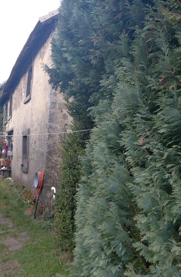 Thumbnail-Bauern Haus mit viel Land nähe Nürburgring